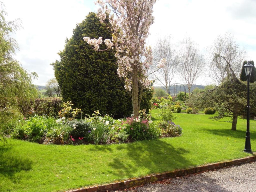 Westwood Country House Бларни Экстерьер фото